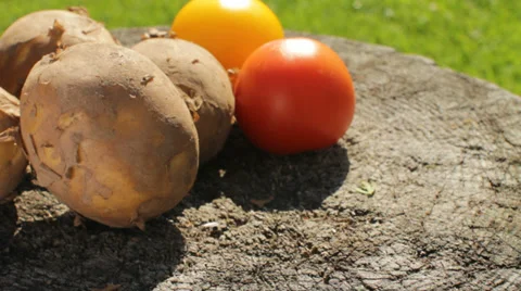 Harvest of Vegetables in August Stock Footage 36087490