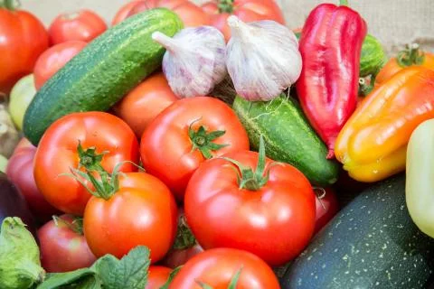 Harvest of vegetables Stock Photos