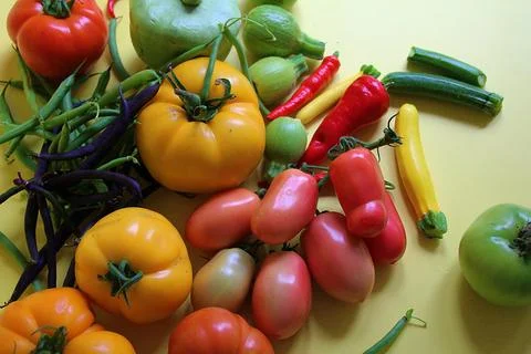 Harvest vegetables Stock Photos