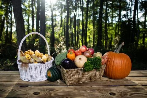 Harvest vegetables in rustic baskets on green nature background. Harvest ve.. Foto stock
