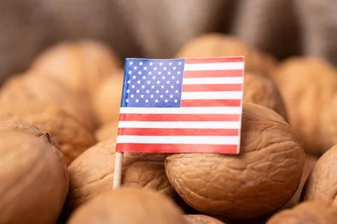 Harvest of walnuts in US Stock Photos