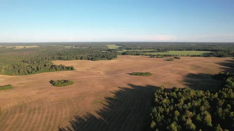 Harvest wheat field drone view Stock Footage 205909443