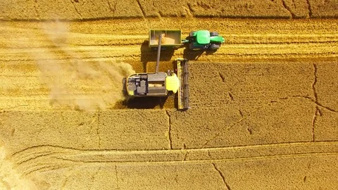 Harvest of wheat field. Stock Footage 78687093