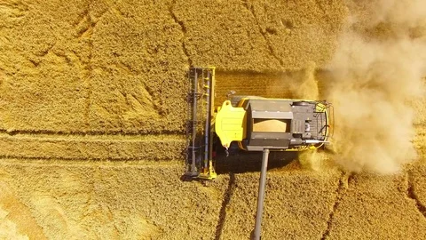 Harvest of wheat field. Stock Footage 78687469
