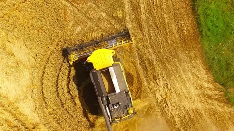 Harvest of wheat field. Stock Footage 78688586