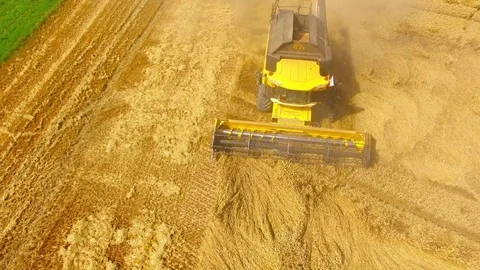 Harvest of wheat field. Stock Footage 78690524
