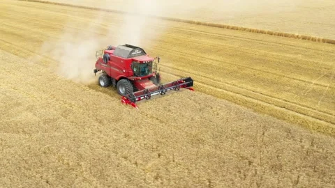 Harvest of wheat field. Stock-Footage 139413628
