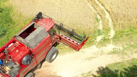 Harvest of wheat field. Stock-Footage 139415225