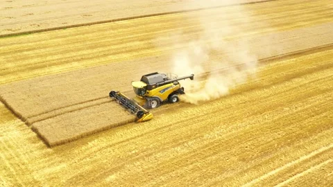 Harvest of wheat field. Stock-Footage 139416934