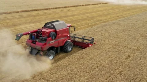 Harvest of wheat field. Stock-Footage 139418131