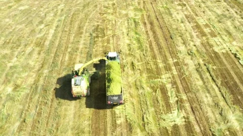 Harvest of wheat field. Stock-Footage 139418210