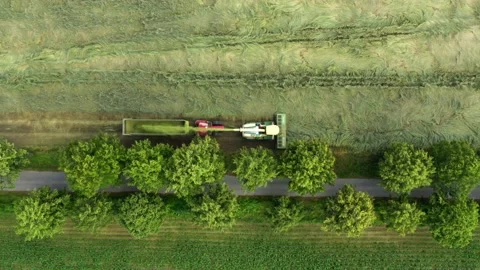 Harvest of wheat field. Stock-Footage 139421263