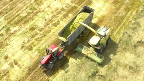 Harvest of wheat field. Stock-Footage 139421326