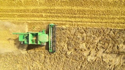 Harvest of wheat field. Stock Footage 159428822