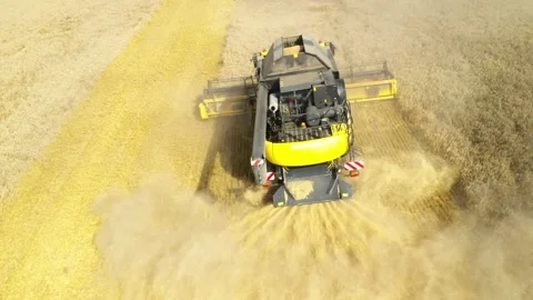 Harvest of wheat field. Stock Footage 159432757
