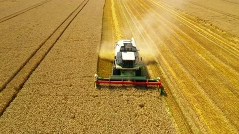Harvest of wheat field. Stock Footage 159434637