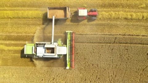 Harvest of wheat field. Stock Footage 159436169