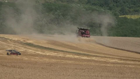 Harvest of wheat Stock Footage 171942214