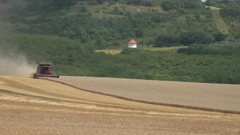 Harvest of wheat Stock Footage 171942585