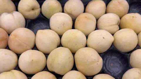 Harvest of white peaches Stock Footage 246773288