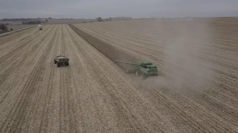 Harvest26 Stock Footage 103226042
