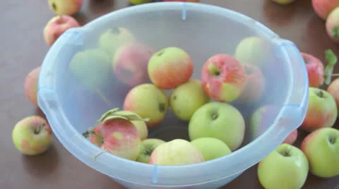 Harvested apples Stock-Footage 25821679