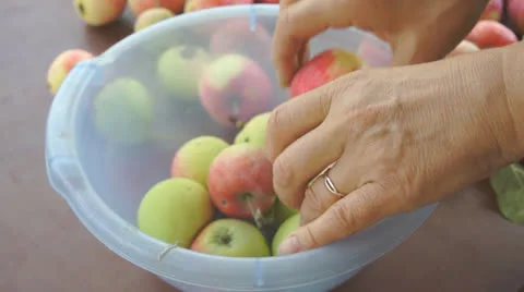 Harvested apples Stock-Footage 25822269