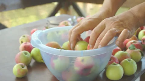 Harvested apples 動画素材 25822684