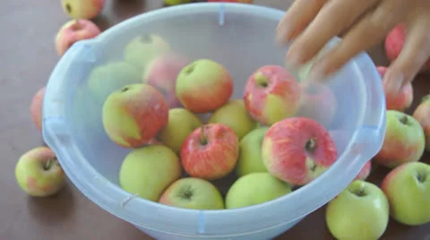 Harvested apples 스톡 동영상 25822867