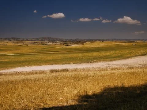 Harvested cereal fields Foto stock