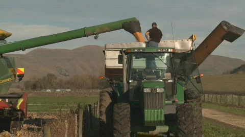 Harvested corn into bin wide Stock Footage 736196