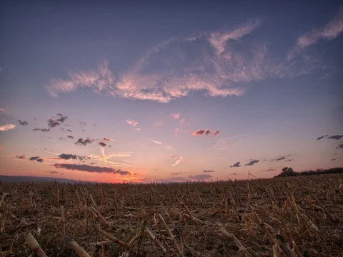 HARVESTED CORN FIELD Stock Footage 72218054