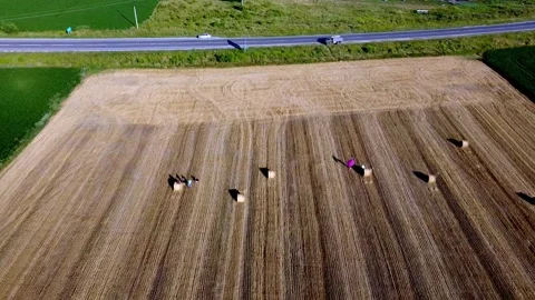 Harvested field Stock Footage 202282101