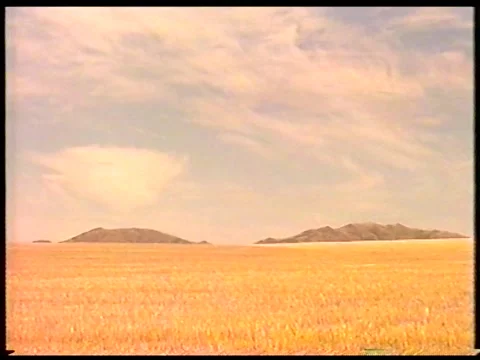 Harvested Field Stock Footage 344382160