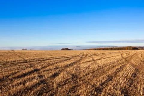 Harvested field patterns Stock Photos