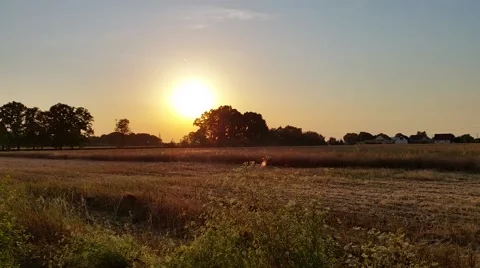 Harvested Field at Sunset Stock Footage 52124119