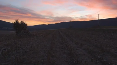 Harvested field at sunset Video stock 103817093