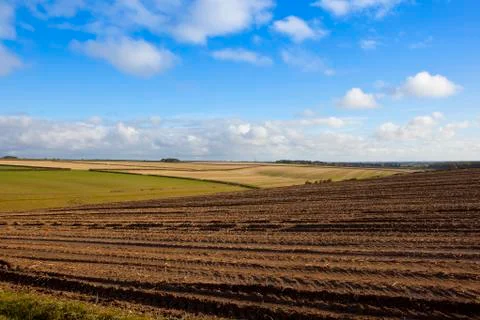 Harvested field texture and patterns Stock Photos