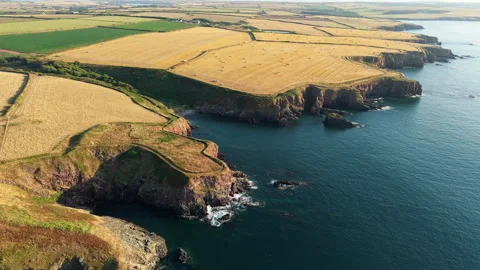 Harvested Fields Above Sea Cliffs on Pembrokeshire Coast, Drone Shot Vídeo Stock 345120061