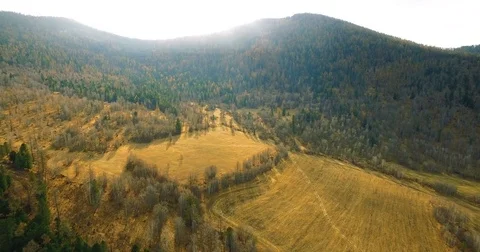 Harvested fields in autumn Video stock 82991896