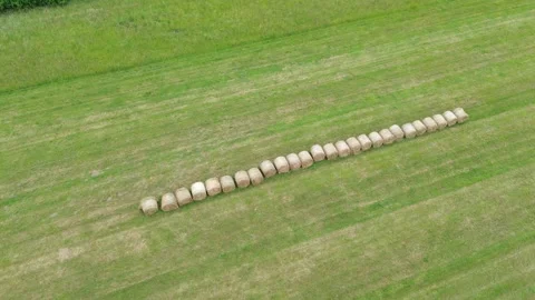 Harvested fields with hay bales in rows. Stock Footage 292241989
