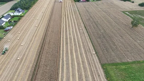Harvested fields with straw rows near Pułtusk, Poland – aerial view Stock Footage 316958888