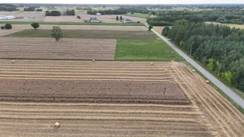 Harvested fields with straw rows near Pułtusk, Poland – aerial view Stock Footage 316959647