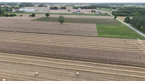 Harvested fields with straw rows near Pułtusk, Poland – aerial view Stock Footage 316961771