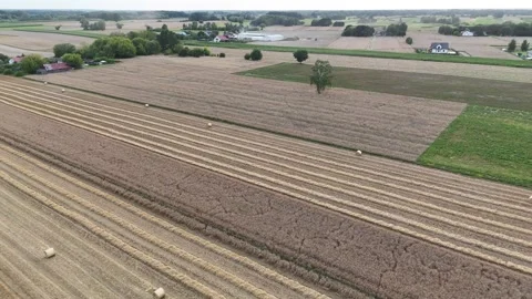 Harvested fields with straw rows near Pułtusk, Poland – aerial view Stock Footage 316962120