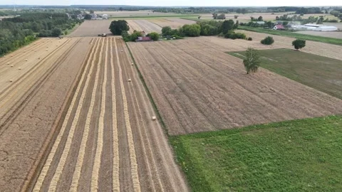 Harvested fields with straw rows near Pułtusk, Poland – aerial view Stock Footage 316962689