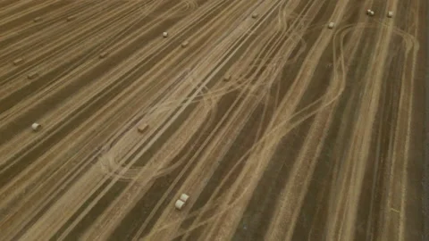 Harvested grain field. The straw is collected in a roll. Aerial photography. Stock Footage 158659306