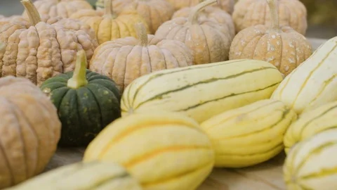 Harvested pumpkin on table Video stock 87839262