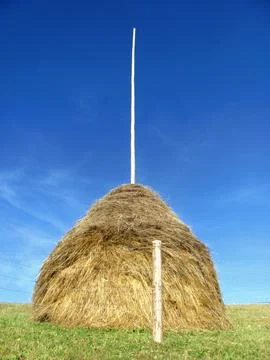 Harvested stack of hay in the field for the winter Stock Photos