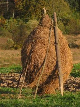 Harvested stack of hay in the field for the winter Stock Photos